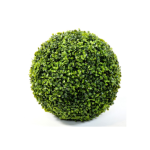 PLANTE BUIS BOULE VERT DIAM25CM AA