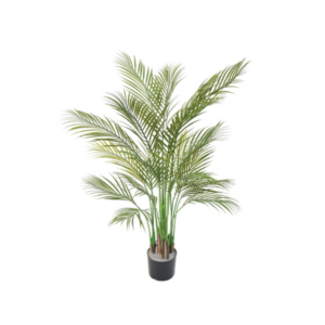PLANTE ARECA MULTI TREE  H.125CM VERT