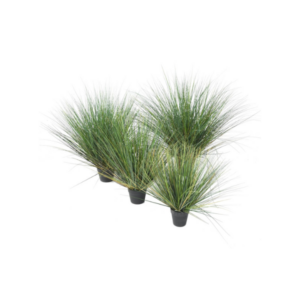 PLANTE ONION GRASS NEW ROUND H.80CM VERT