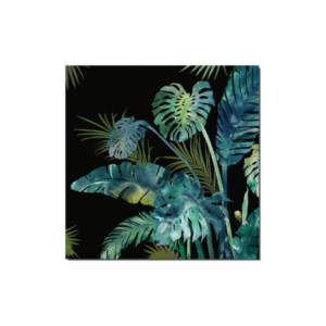 TOILE 80*80CM ENCADREMENT SAN ANTONIO 245.001 NOIR