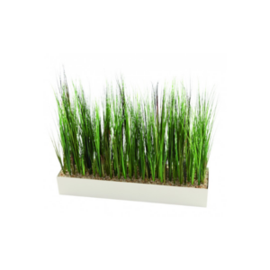 JARDINIERE BASSE HERBE 1000X650X200MM BLANC